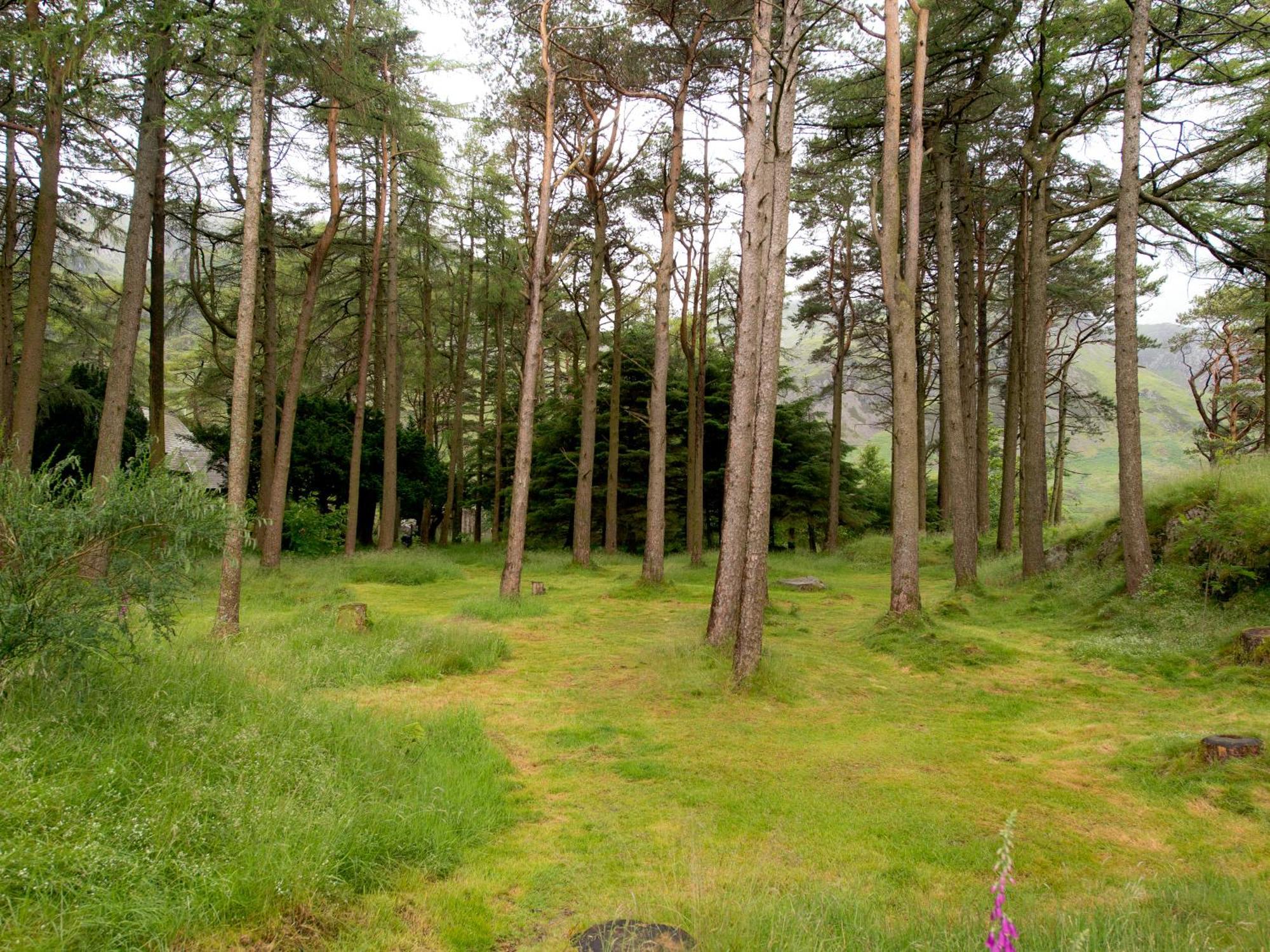 Yha Idwal Cottage Bethesda Luaran gambar