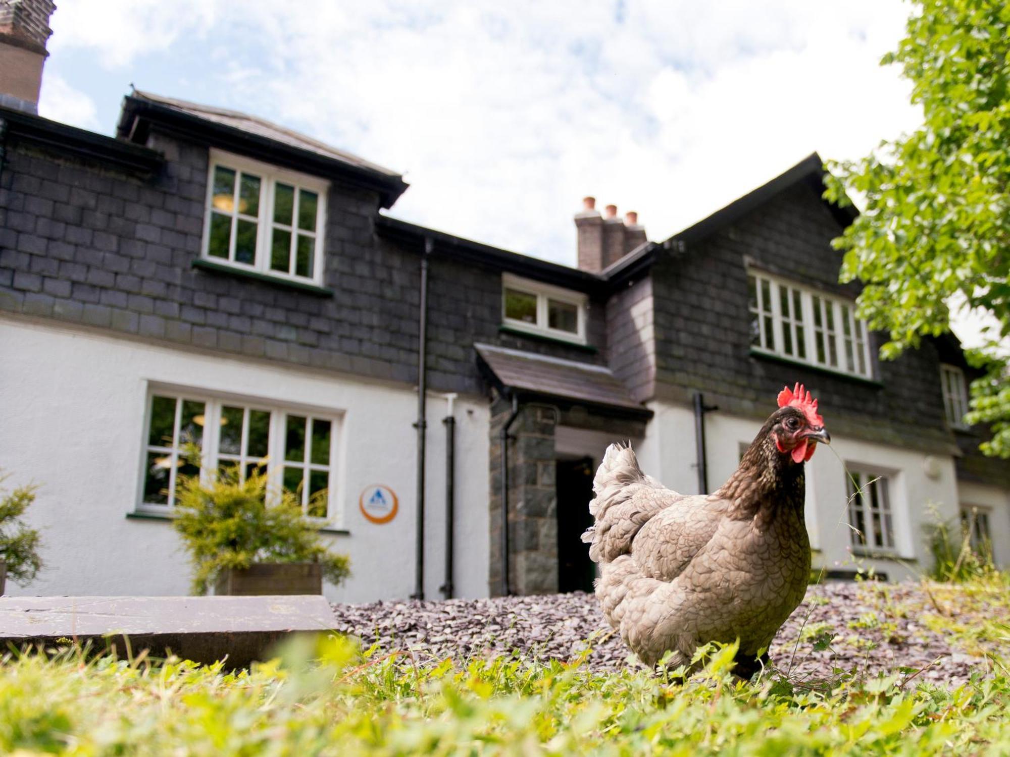 Yha Idwal Cottage Bethesda Luaran gambar