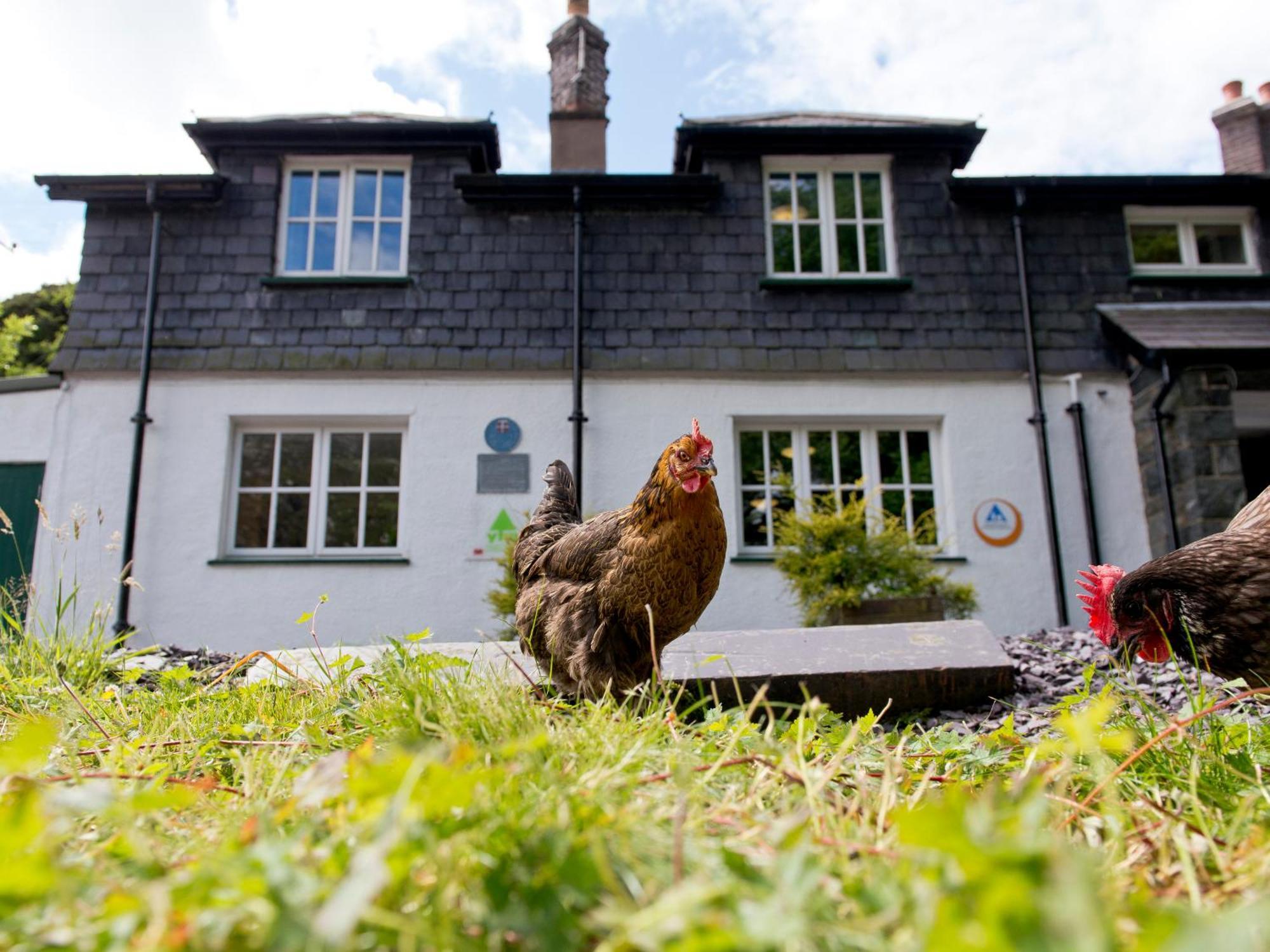 Yha Idwal Cottage Bethesda Luaran gambar